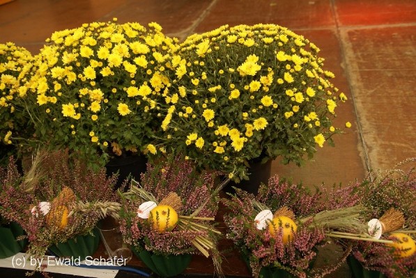 Web BJT 2009 - Sonntag by Ewald Schäfer (148).jpg